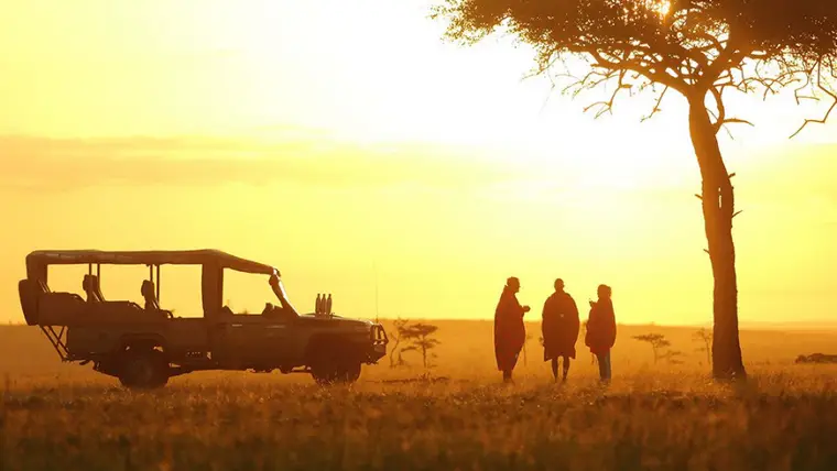 Elephant herd in the savannah